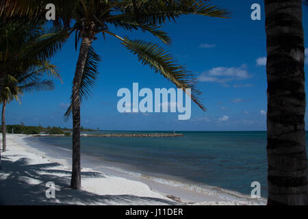 Palmen, die Schatten auf sonnigen Sandstrand in Mexiko Stockfoto