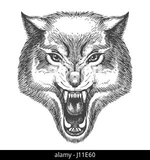 Hand gezeichnet Wolfskopf im Stil Sketch. Wolf mit offenem Mund-Vektor-Illustration isoliert auf weiss. Stock Vektor