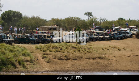 Touristen, die gerade Jagd Löwen auf Gnus. Masai Mara Nationalpark Stockfoto