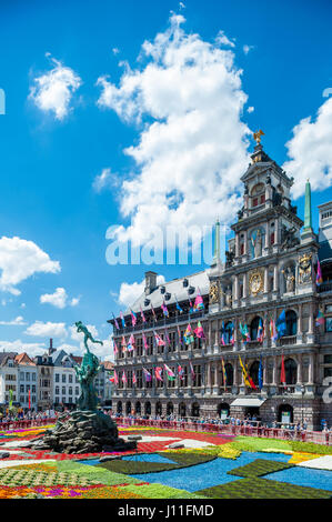 Flower carpet vor ot Antwerpen Rathaus, Grote Markt, Belgien Stockfoto