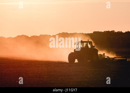 Silhouette des Traktors arbeiten auf einem Bauernhof in der Dämmerung Stockfoto