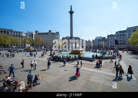 Trafalgar Square in London, England, Vereinigtes Königreich Großbritannien Stockfoto