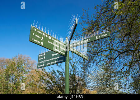 Wegweiser im St. James Park mit Anti-Vogel Spikes, London England Vereinigtes Königreich UK Stockfoto