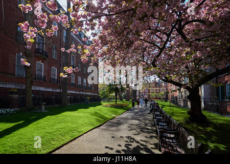 Der Mount Street Gardens in Mayfair, London England Vereinigtes Königreich UK Stockfoto