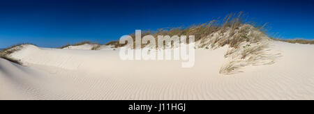 Weiße Dünen von Sao Jacinto, Aveiro, Portugal. Pt.II Stockfoto