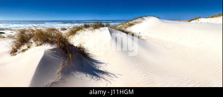 Weiße Dünen von Sao Jacinto, Aveiro, Portugal. PT. III Stockfoto