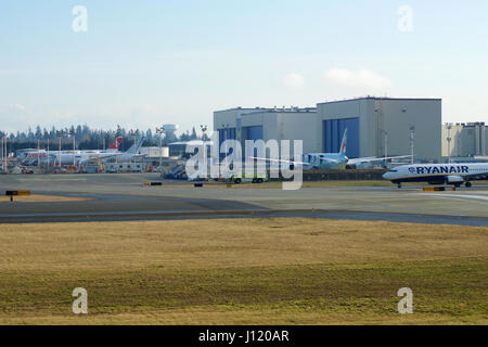 EVERETT, WASHINGTON, USA - 26. Januar 2017: Eine brandneue Ryanair Boeing 737-800 nächste Gen MSN 44766, Registrierung EI-FTP kehrt von einem erfolgreichen Testflug landet auf dem Flughafen Snohomish County oder Paine Field. Air Canada Dreamliner Boeing 787 und Schweizer Boeing 777 im Hintergrund. Stockfoto