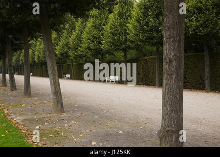 Gasse, gesäumt von Reihen von Laubbäumen und Bänke im Schlossgarten Schwetzingen im Spätsommer, Schwetzingen, Deutschland Stockfoto