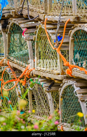 Krabben und Hummer fallen in Lunenburg, Nova Scotia, Kanada Stockfoto