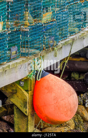 Krabben und Hummer fallen in Peggys Cove Area Nova Scotia, Canada Stockfoto