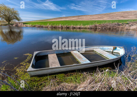 Ein altes Ruderboot teilweise gefüllt mit Wasser in einem Teich im östlichen Washington. Stockfoto