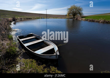 Ein altes Ruderboot teilweise gefüllt mit Wasser in einem Teich im östlichen Washington. Stockfoto