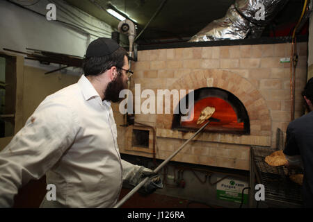 Chassidische Mensch nutzt einen langen Stock, um die bereit Matza Shmura aus dem Ofen nach t0 Sekunden sonst zu ziehen, das es brennt. Vor Pessach, Kfar Chbad, Israel Stockfoto