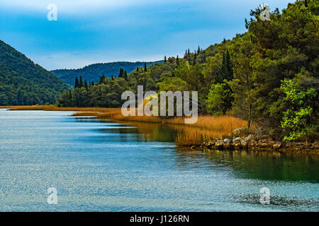 Kroatien Dalmatien Nationalparks Krka - Skradin - in der Nähe von Skradinski Buk Wasserfall Landschaft Stockfoto