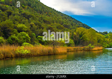 Kroatien Dalmatien Nationalparks Krka - Skradin - in der Nähe von Skradinski Buk Wasserfall Landschaft Stockfoto