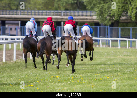 Rennpferde und Jockeys während eines Rennens Stockfoto