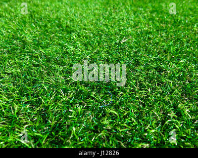 Kunstrasen hautnah Stockfoto