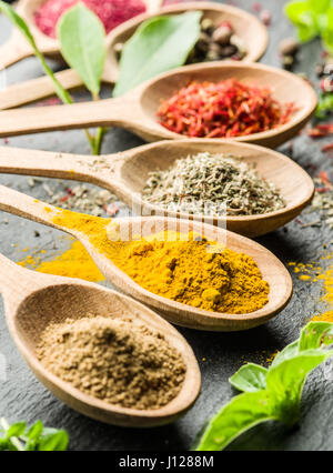 Sortiment von Gewürzen in den Kochlöffel. Stockfoto