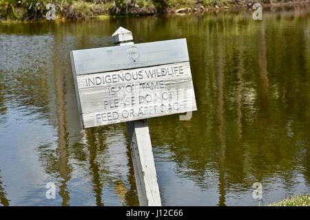 Einheimische Wildtiere Zeichen, Hilton Head Island, SC, USA Stockfoto