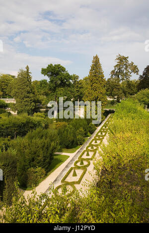 Reihe von getrimmten Sträucher an der bischöflichen Residenz Hofgartens im Spätsommer, Würzburg, Deutschland Stockfoto