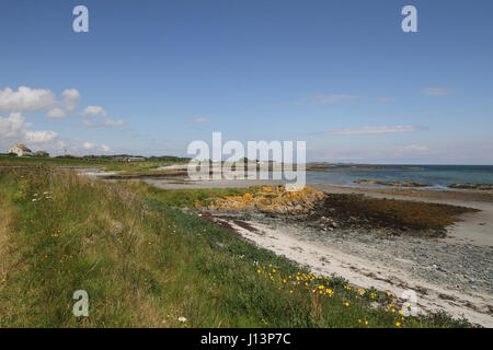 Sandstrand an der Küste, County Down, Nordirland. Der Strand ist bei Kearney, in der Nähe der Ortschaft auf der Halbinsel Ards Portaferry, County Down. Stockfoto