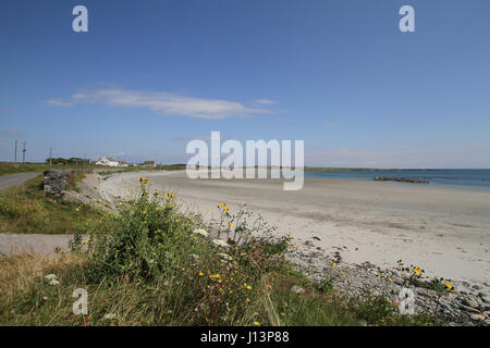 Sandstrand an der Küste, County Down, Nordirland. Der Strand ist bei Kearney, in der Nähe der Ortschaft auf der Halbinsel Ards Portaferry, County Down. Stockfoto