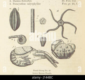 „The Student's Manual of Geology“ ist ein Lehrbuch für geologische Studierende. Sie umfasst grundlegende Konzepte der Erdwissenschaften, einschließlich Gesteinsformationen, Mineralien und geologische Prozesse. Stockfoto