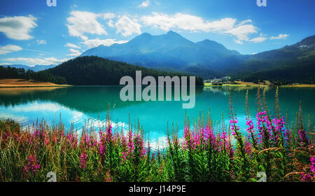 Erstaunliche sonniger Tag am Champferersee See in den Schweizer Alpen. Silvaplana-Dorf, Schweiz, Europa. Stockfoto