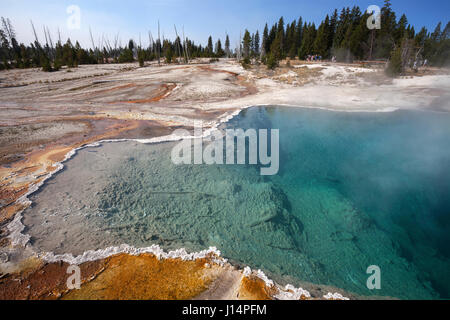 Blackpool, West Thumb Geyser Basin, Yellowstone-Nationalpark, Wyoming, USA Stockfoto