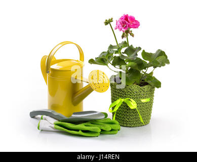 Topfpflanzen Pelargonien Blume und Gartengeräte auf weiß Stockfoto