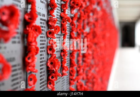 Canberra, Australien - 18. März 2017. Poppy wall listet die Namen aller Australier, die im Dienst von Armeen enthalten. Der rote Mohn ist ein Symbol. Stockfoto