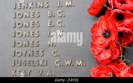 Canberra, Australien - 18. März 2017. Poppy wall listet die Namen aller Australier, die im Dienst von Armeen enthalten. Der rote Mohn ist ein Symbol. Stockfoto