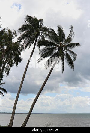 Cardwell auf dem Bruce Highway über auf halbem Weg zwischen Townsville und Cairns Stockfoto