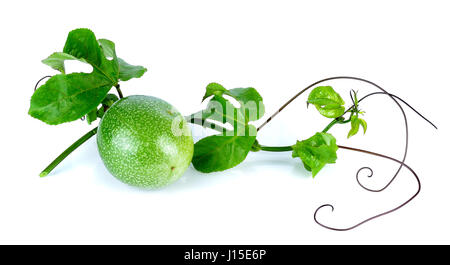 Passionsfrucht/Maracuja auf dem weißen Hintergrund isoliert. Stockfoto