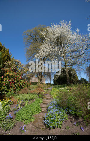 Cholmondeley Schlossgärten. Frühlings-Blick auf Cholmondeley Castle Gardens, mit Cholmondeley Schloß im Hintergrund. Stockfoto