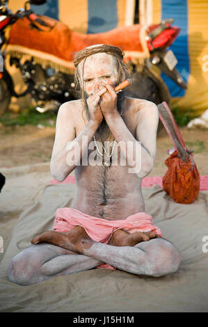 Naga sadhu rauchen Chillum, Kumbh Mela, Ujjain, Madhya Pradesh, Indien, Asien Stockfoto