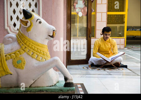 Mann liest heiliges Buch vor Hanuman Tempel, Mathura, Uttar Pradesh, Indien, Asien Stockfoto