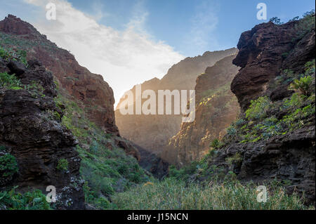 Sonnenuntergang auf den Felsen von Teneriffa Stockfoto