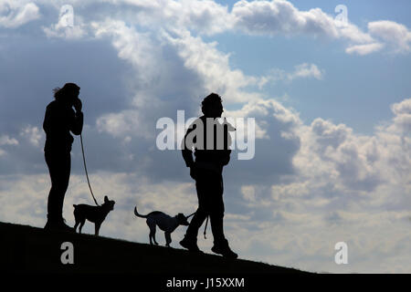 Paar mit Hunden in Norfolk Landschaft Stockfoto