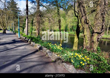 Liebhaber gehen Matlock Bath Derbyshire England UK Stockfoto