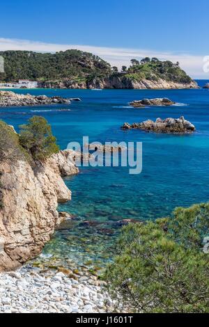 Detail an der spanischen Küste im Sommer (Katalonien, Costa Brava) Stockfoto