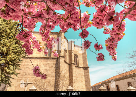 Ein Blick über Capilla de Mosen Rubi, einem historischen Gebäude in Avila, Spanien, gesehen durch die Zweige eines blühenden Baumes Stockfoto