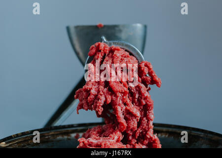 Fleisch in den Fleischwolf Stockfoto