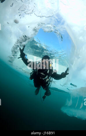 Sibirien: Ein Taucher, nachdem er in den Baikalsee sprang.  EIN ICE-CUBED Taucher nahm eine außergewöhnliche Reise in eine Unterwasser Klumpen des Eises. Bilder aus der weltweit größte See, der Russland Baikalsee Einfrieren, eine abenteuerliche Gruppe der Eis-Taucher zu zeigen, wie sie das Eis zu durchdringen und für eine einstündige Sprung Ihres Lebens springen. Erfasst am 50-Füße tief unter der Kruste aus Eis, Fotograf Andrey Nekrasov, 42, stammte aus der gefrorenen Oberfläche auf die Suche, Aufnahme von Bildern aus dem 2.500 Fuß tiefen See – die fünf Mal die Lautstärke der alle fünf großen Seen Nordamerikas. Andrey bereist Stockfoto