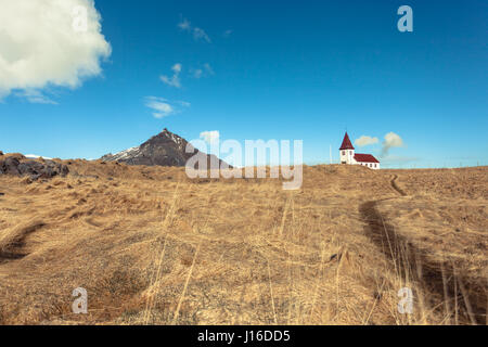 Die weiße Kirche liegt auf einem Hügel in einem goldenen Feld gegenüber einem Berg. Hellnar, Halbinsel Snæfellsnes (Snaefellsnes), West-Island Stockfoto
