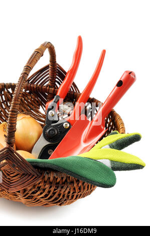 Gartengeräte wie Handschuhe, Gabel, Schere und Zwiebel in Korb auf weißen Hintergrund isoliert Schaufel Stockfoto