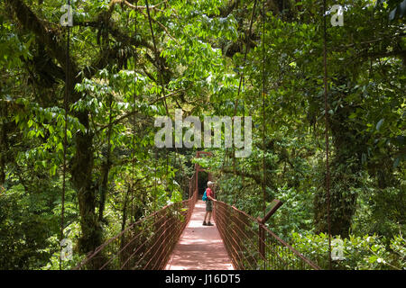 Wanderer auf der Hängebrücke in Costa Rica Monteverde Cloud Forest Preserve stehend Stockfoto