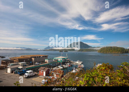 Tofino Docks und Meares Island, British Columbia, Kanada Stockfoto