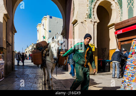 Das Tor Bab Bou Jeloud, blaues Tor, ist grün, die Farbe des Islam, an der inneren Fassade der Medina. Fes, Marokko, Nordafrika Stockfoto