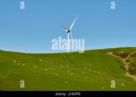 Hill Top Windenergieanlagen mit Schaf am Hang Stockfoto